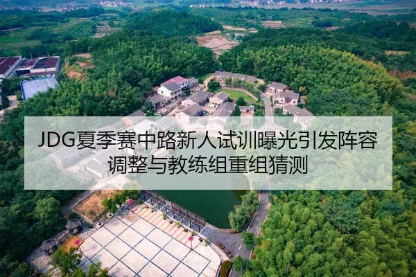 JDG夏季赛中路新人试训曝光引发阵容调整与教练组重组猜测